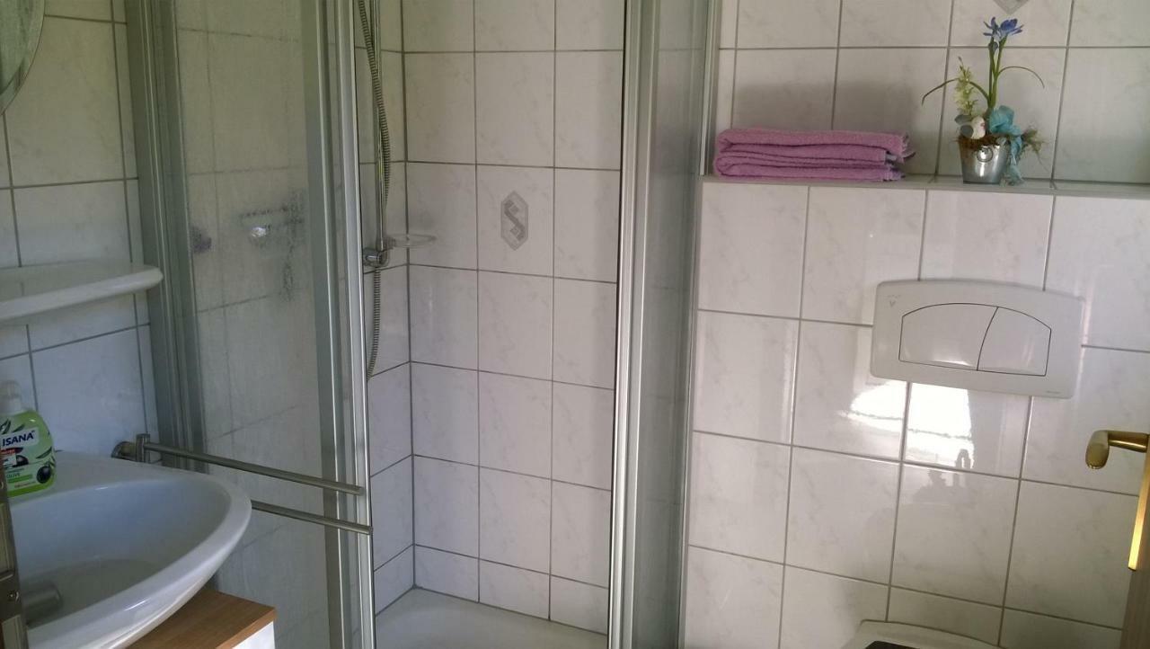 Ferienwohnung Bergblick - Inklusive Bodetal Therme 탈레 외부 사진