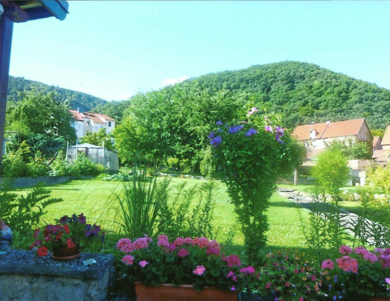 Ferienwohnung Bergblick - Inklusive Bodetal Therme 탈레 외부 사진